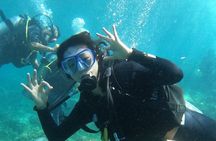  Scuba Diving Experience in Nha Trang Bay 