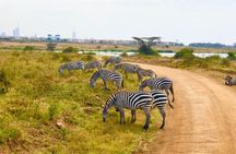 Nairobi National Park Private Half Day Tour