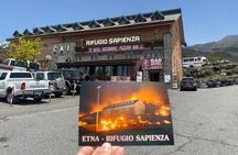 Etna panoramic private tour and Wine taste and food combination