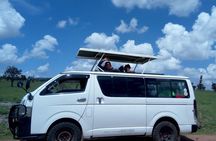 Nairobi National Park Private Half Day Tour
