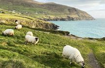 Slea Head Photo & Sightseeing Tour