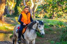 Kemer Horse Riding Experience with Transfer