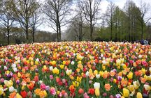 Private Guided Keukenhof Gardens and Zaanse Schans Tour 