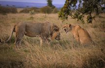 3 Days Tanzania Private Budget Safari to Serengeti & Ngorongoro
