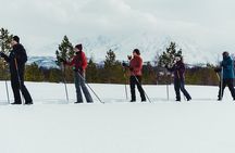 Introduction to Cross Country Skiing in the Arctic