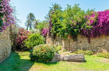 Best of Rhodes Cruise-Friendly Tour 