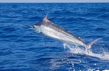 Deep Sea Fishing and Beach Break in Cozumel