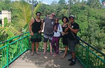  The Best Highlight Ubud Tour 