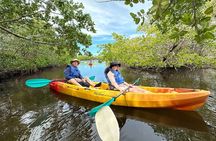 Robinson Preserve Mangrove Tour