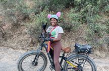 Full Day E-biking in the Sierra Foothills (Mariposa)