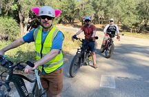 Full Day E-biking in the Sierra Foothills (Mariposa)