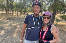 Full Day E-biking in the Sierra Foothills (Mariposa)