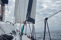 Marbella sailboat rental, dolphins, drinks and snacks -3 hours