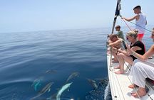 Marbella sailboat rental, dolphins, drinks and snacks -3 hours