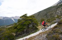 Drink Waterfall on Assisted Bicycle