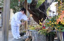 Take Shrine Activity with Lunch