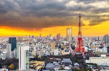 Tokyo Full Day Private Tour with English Guide Driver