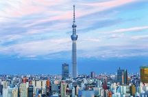 Tokyo Full Day Private Tour with English Guide Driver