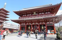 Tokyo Full Day Private Tour with English Guide Driver