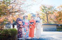 Kyoto Kimono Rental mimosa Kodaiji Ladies Plan with Hair Set