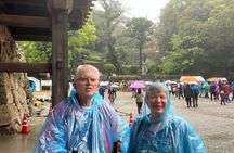 Kochi Shore Excursion: Customized Car Tour, Licensed Guide