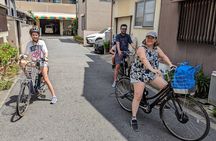 Private Nara E-bike - Family Tour with Lunch