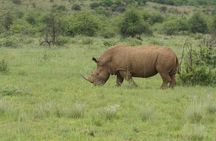 3-Days 2-nights Tanzania Private Budget Camping Safari