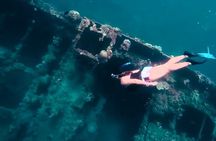 Coron Island Hopping Tour B with Skeleton Wreck & Barracuda Lake