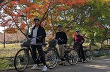 Private Nara E-bike - Family Tour with Lunch