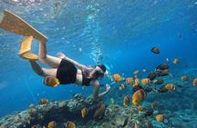 Snorkeling Day Trip To Lembongan and Penida
