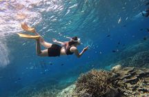 Snorkeling Day Trip to Nusa Lembongan and Nusa Penida