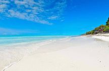 Jozani, Kuza Cave, Paje & The Rock Private Tour