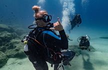 Scuba Diving at Turtle Bay with Underwater Pictures Included