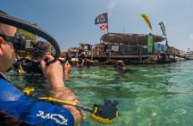 Scuba Diving at Turtle Bay with Underwater Pictures Included
