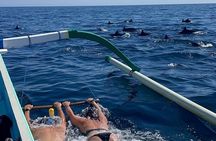 Bali : Dolphin Sunrise Experience Tour Private All Inclusive 