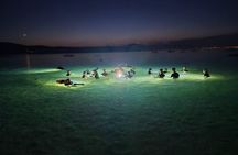 Nightsnorkeling