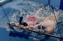 Bali : Dolphin Sunrise Experience Tour Private All Inclusive 