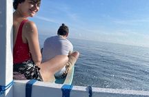 Bali : Dolphin Sunrise Experience Tour Private All Inclusive 