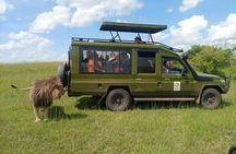 3 Days, 2 Nights Masai Mara Kenya Safari from Nairobi