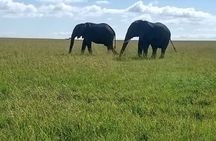 3 Days, 2 Nights Masai Mara Kenya Safari from Nairobi