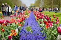 Day Trip To Tulip Gardens Of Keukenhof From Amsterdam: Private & Personalized