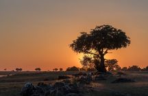 The Mosi oa Tunya National Park Game Drive