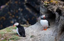Volcanic Vistas & Puffin Paradise ATV Tour