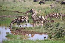 3 Days Tanzania Private Budget Safari to Serengeti & Ngorongoro