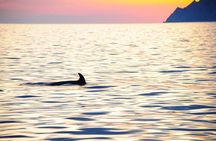 Cinque Terre Sunset Cruise with Aperitif from Monterosso