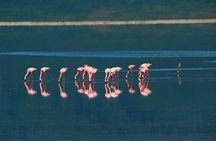 5 Days Exclusive Camping Adventure in Northern Tanzania