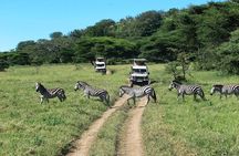 5 Days Exclusive Camping Adventure in Northern Tanzania