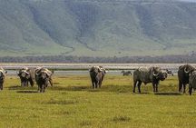 4 Day Ngorongoro Crater Tarangire and Serengeti National Park