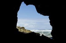 Complete Tour to Ilha do Mel