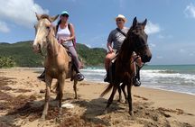 East Coast Horseback Riding, Waterfall & Soufriere Private Tour